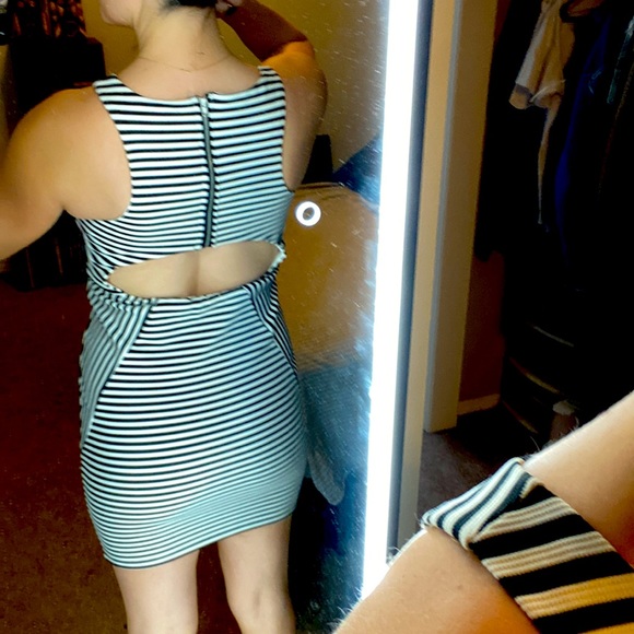 Black and White Striped Fitted Dress - Picture 4 of 4